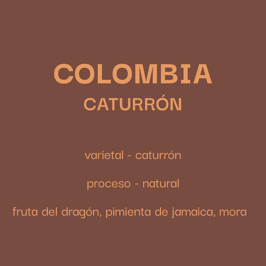 Colombia Caturrón - Natural